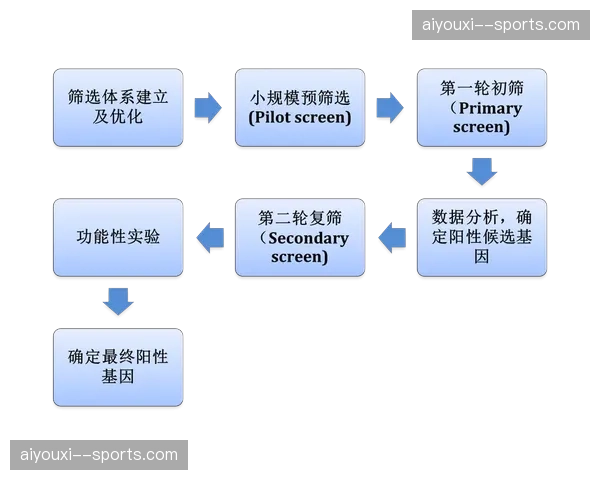 传统人工粗剪环节加速剥离，智能算法接管素材初筛流程